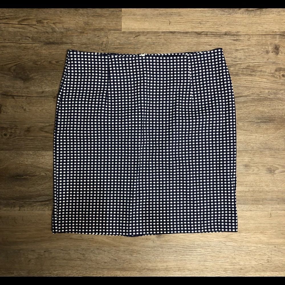 Signature Collection Blue and White Checkered Skirt Size 12